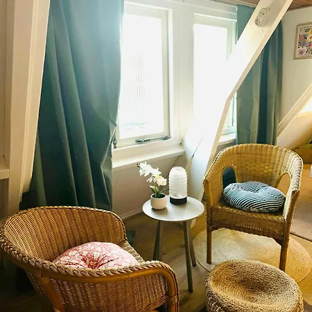 Holiday home Hello - Tiny House Dahliastraat 60