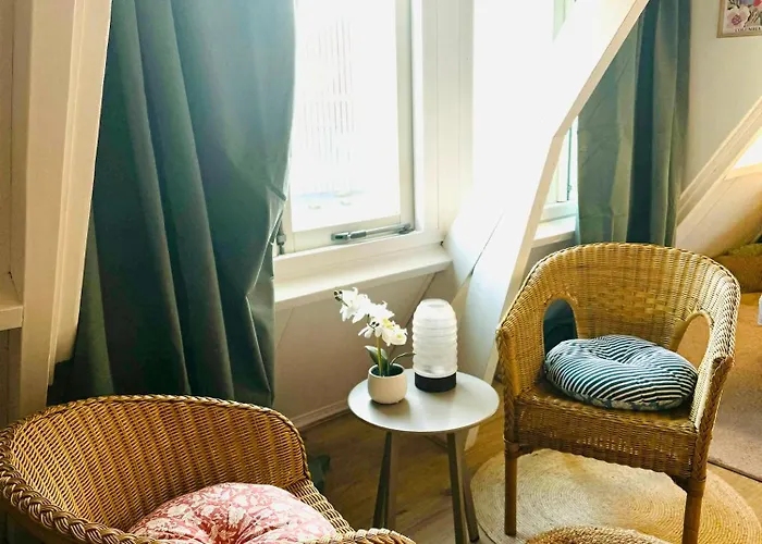 Σπίτι διακοπών Hello - Tiny House Dahliastraat 60